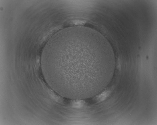 X0000052570321200507011227