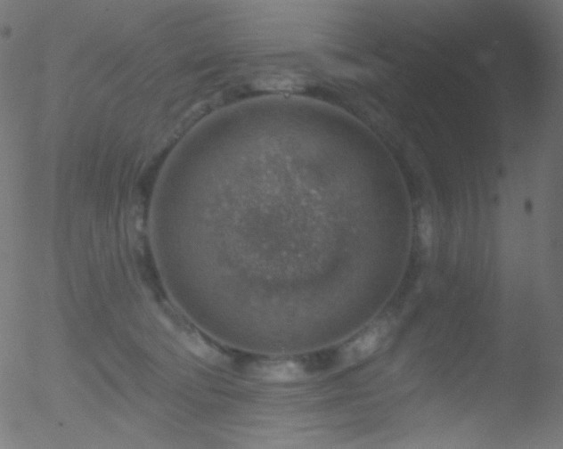 X0000052570322200507011227