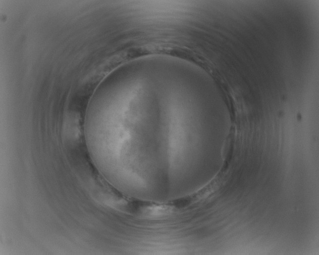 X0000052570323200507011227