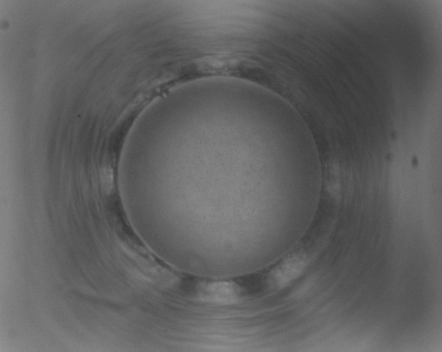 X0000052570324200507011227