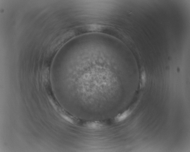 X0000052570325200507011227