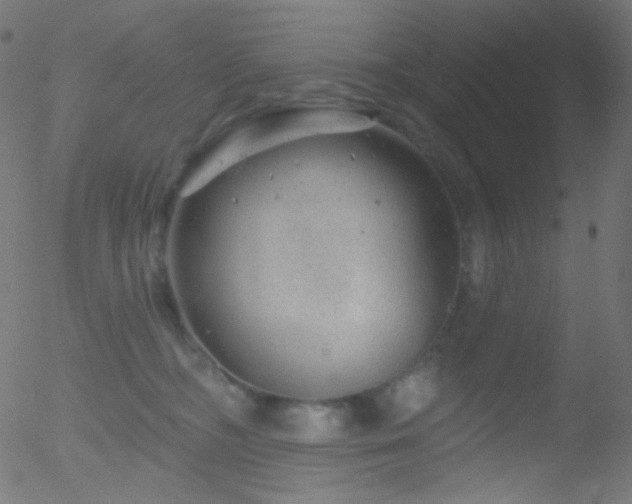 X0000052570326200507011227