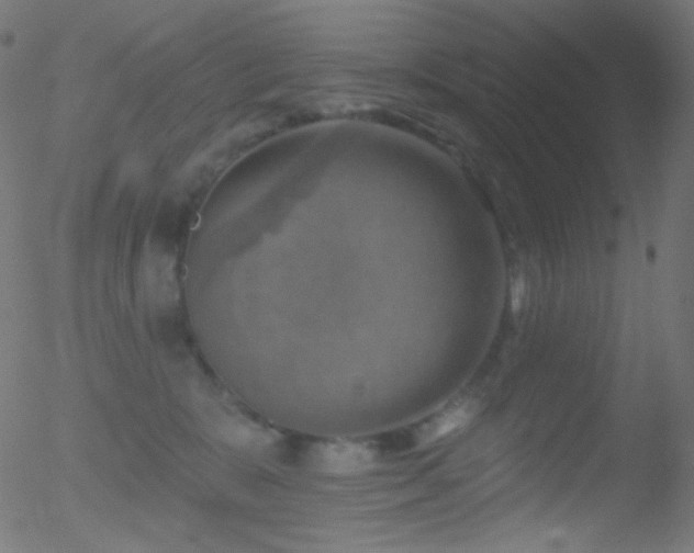 X0000052570327200507011227