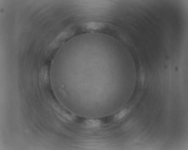 X0000052570328200507011227