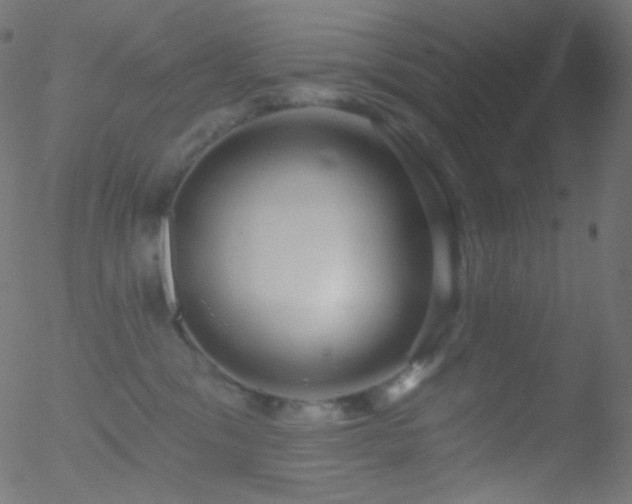 X0000052570329200507011227