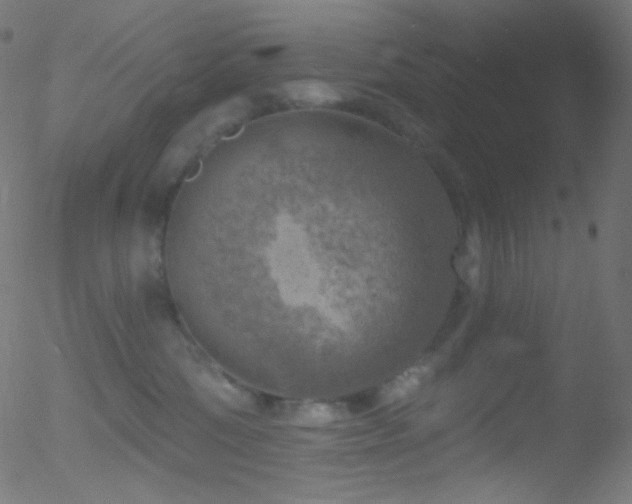 X0000052570330200507011227