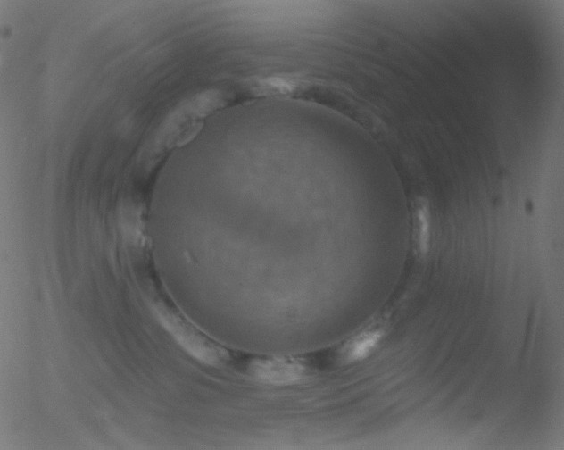 X0000052570331200507011227