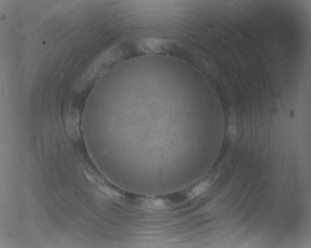 X0000052570332200507011227