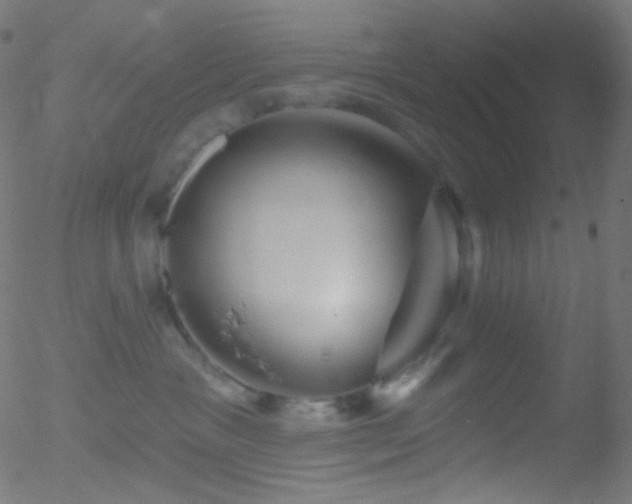 X0000052570333200507011227