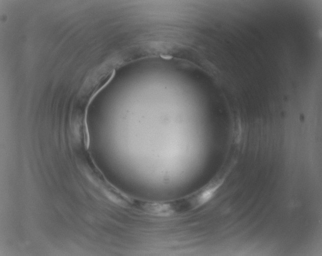 X0000052570334200507011227