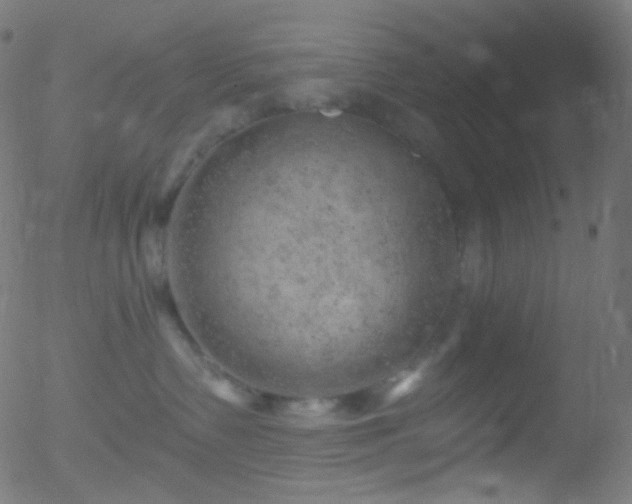 X0000052570335200507011227