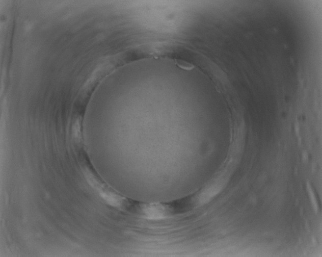 X0000052570336200507011227