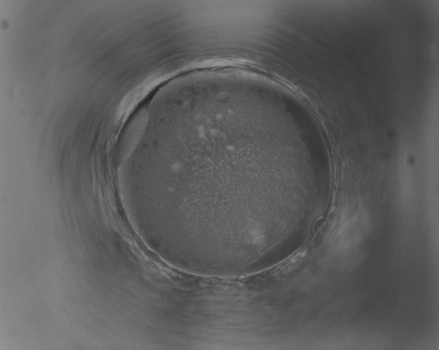 X0000052570337200507011226