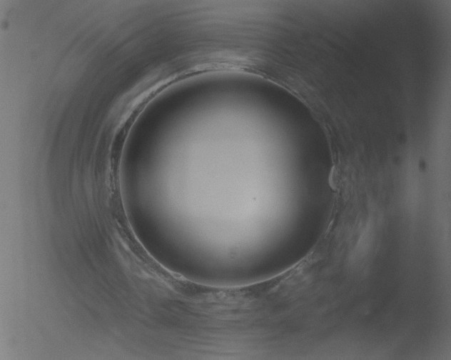 X0000052570338200507011226