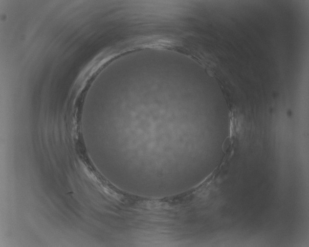 X0000052570339200507011226