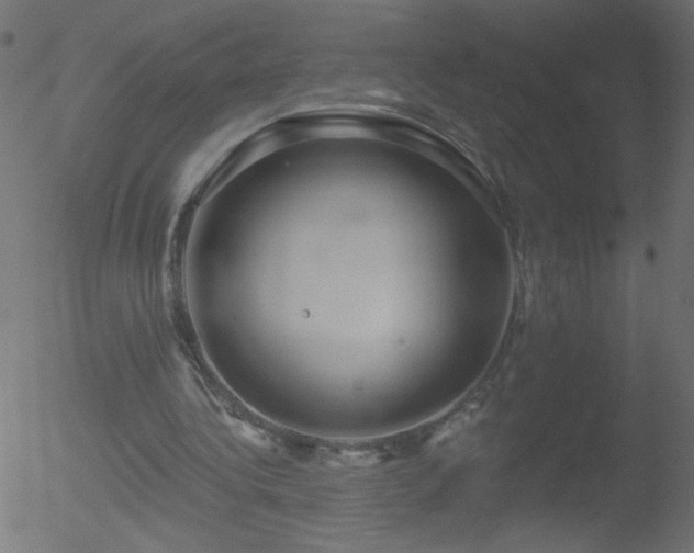 X0000052570340200507011226