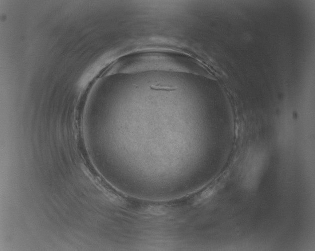 X0000052570341200507011226