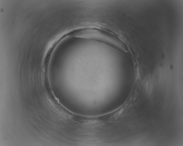 X0000052570342200507011226