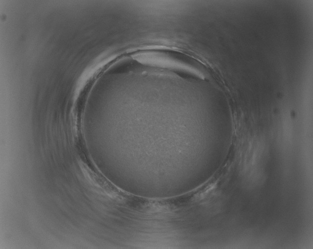 X0000052570343200507011226