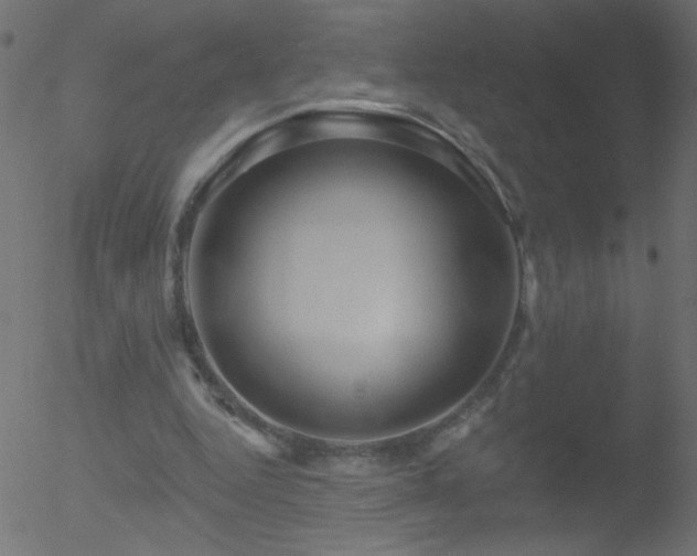 X0000052570344200507011226