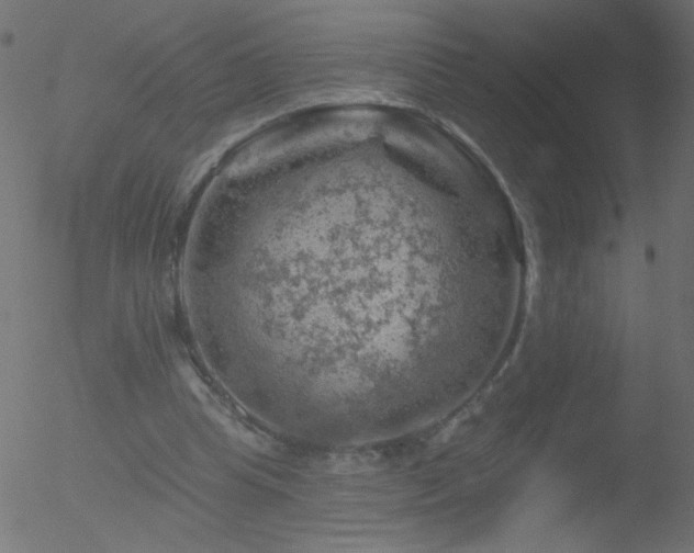 X0000052570345200507011226