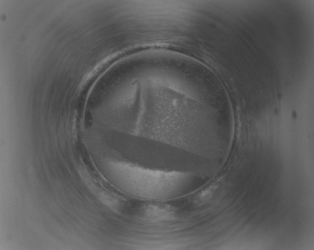 X0000052570346200507011226