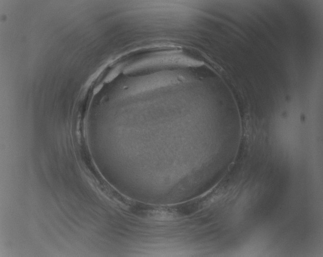 X0000052570347200507011226