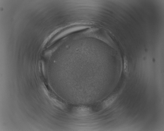 X0000052570348200507011226