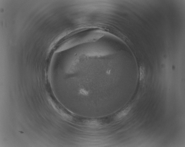 X0000052570349200507011226