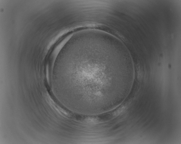 X0000052570350200507011226