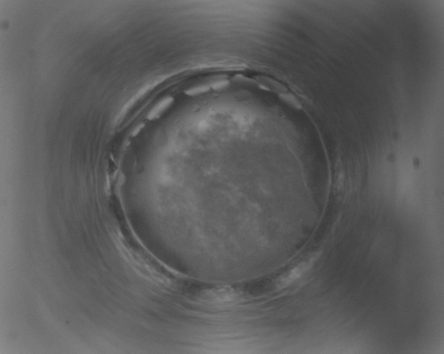 X0000052570351200507011226