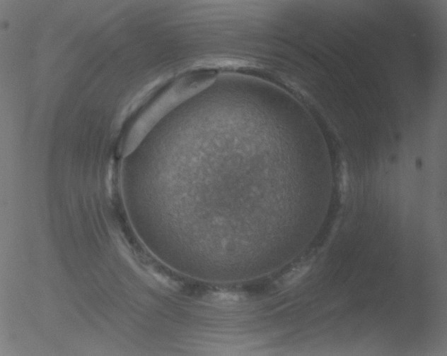 X0000052570352200507011226