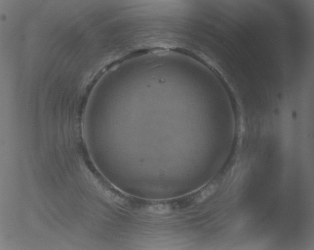 X0000052570353200507011226