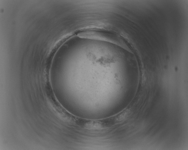 X0000052570354200507011226