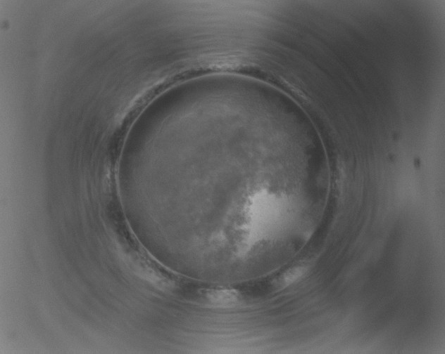 X0000052570355200507011226