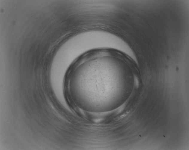 X0000052570356200507011226