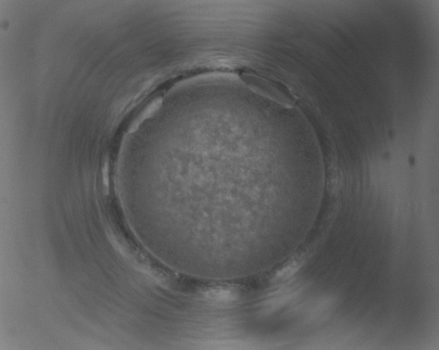 X0000052570358200507011226