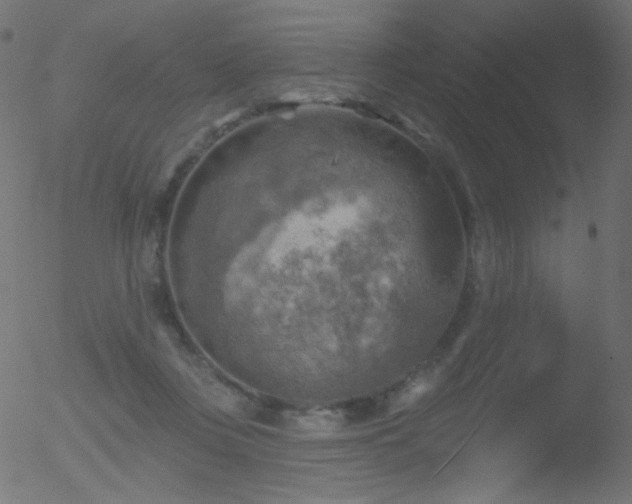 X0000052570359200507011226