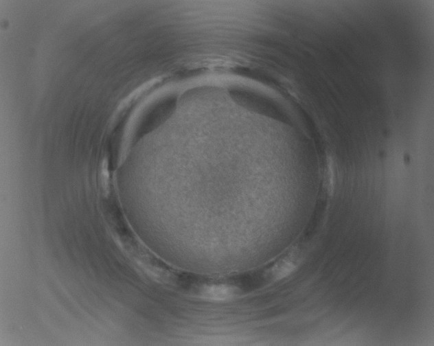 X0000052570360200507011226