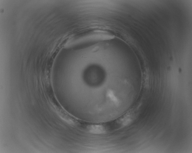 X0000052570361200507011226