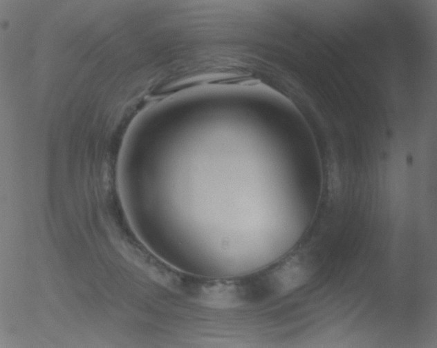 X0000052570362200507011226