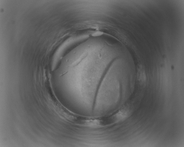 X0000052570363200507011226