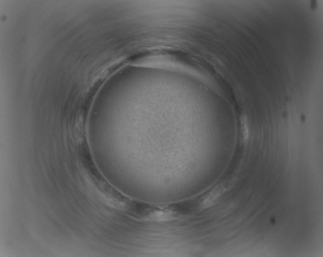 X0000052570364200507011227