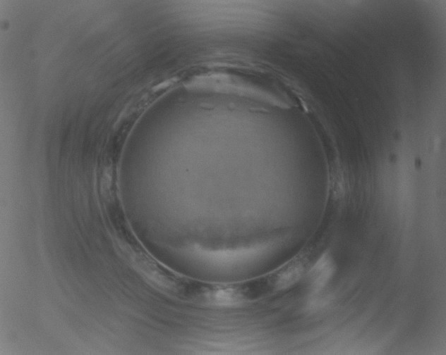 X0000052570365200507011227