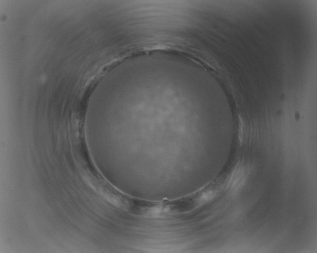 X0000052570366200507011227