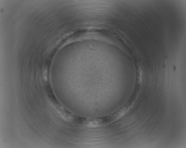 X0000052570368200507011227