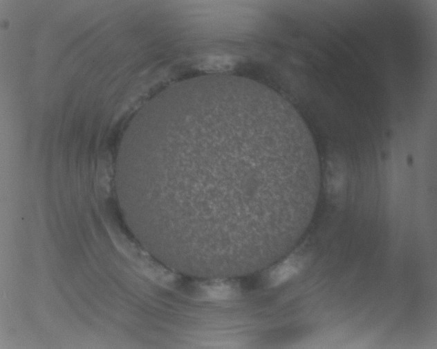 X0000052570370200507011227