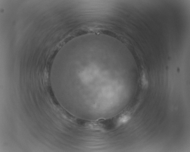 X0000052570372200507011227