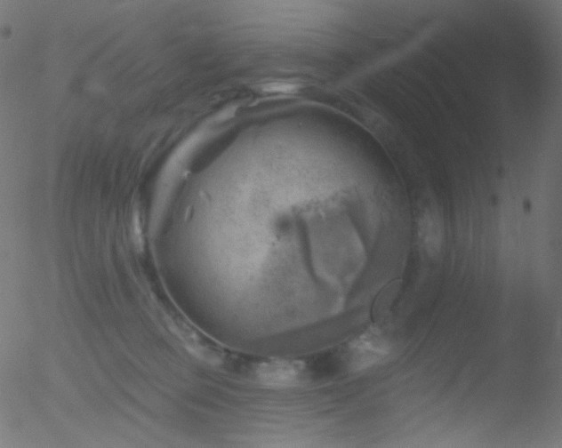 X0000052570373200507011227