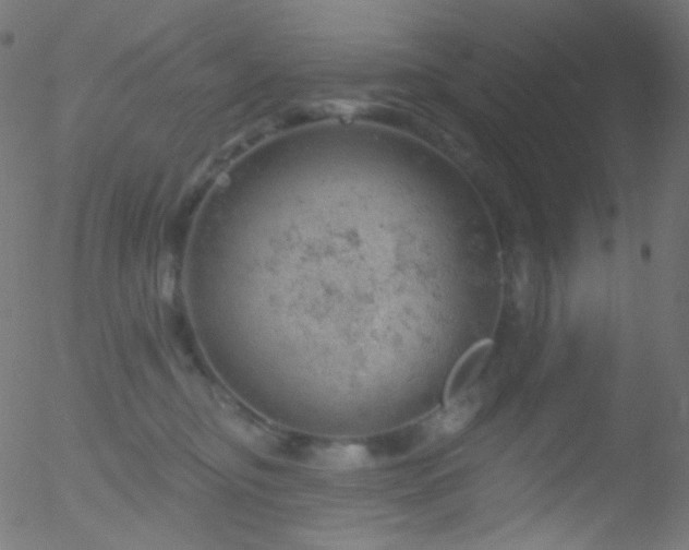 X0000052570374200507011227